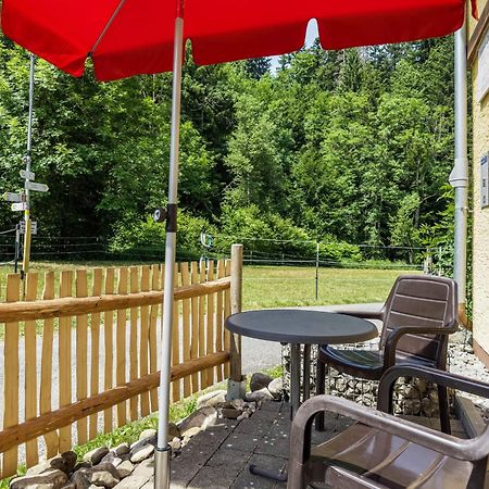 Balzerberg Apartment ไวเลอร์-ซิมเมอร์แบร์ก ภายนอก รูปภาพ