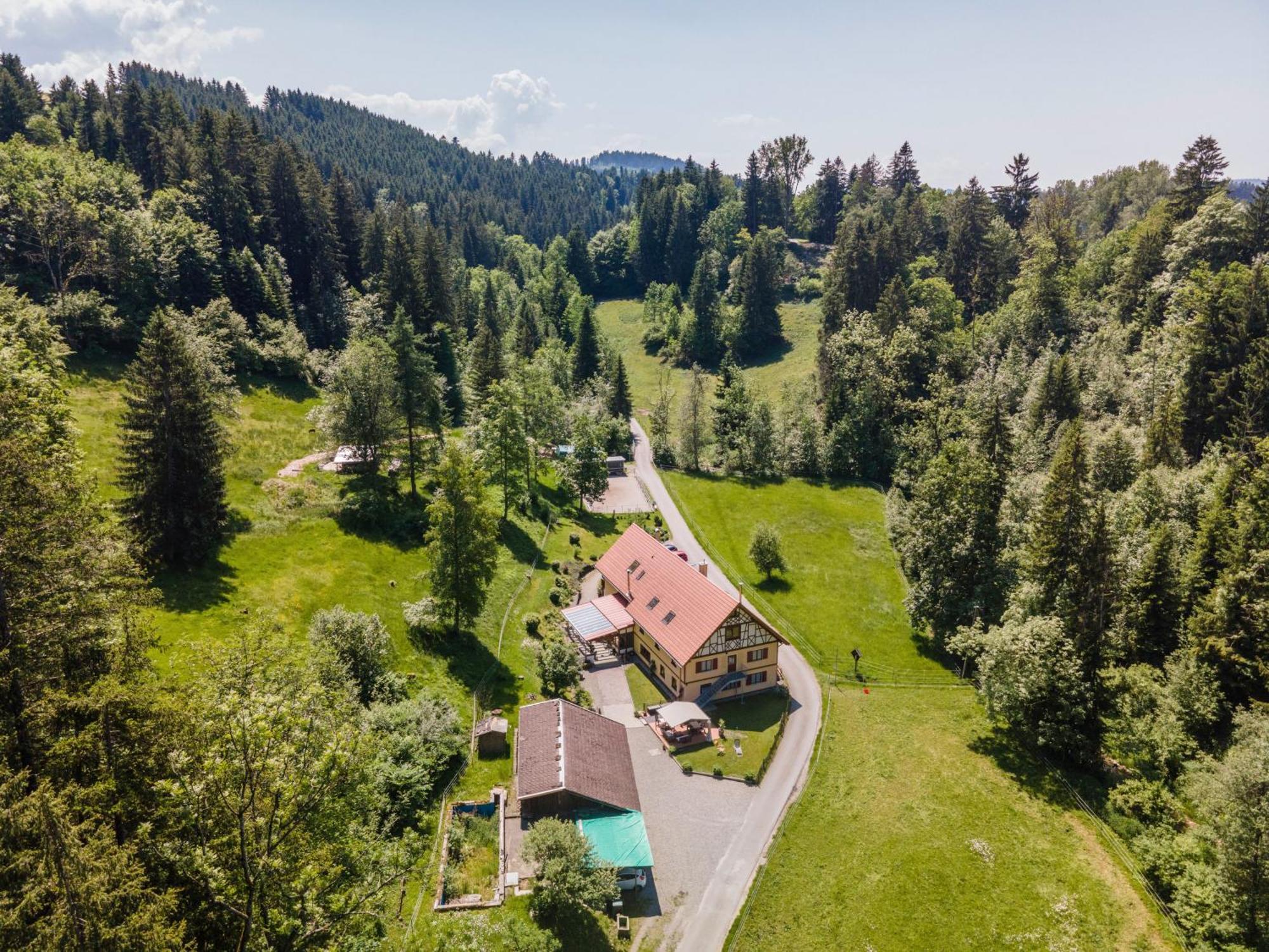 Balzerberg Apartment ไวเลอร์-ซิมเมอร์แบร์ก ภายนอก รูปภาพ